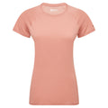 Pink Clay Montane Women's Dart T-Shirt Front FDTTSPCL