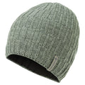 Eucalyptus Montane Windjammer Halo Beanie Hat Front HWHABEUC